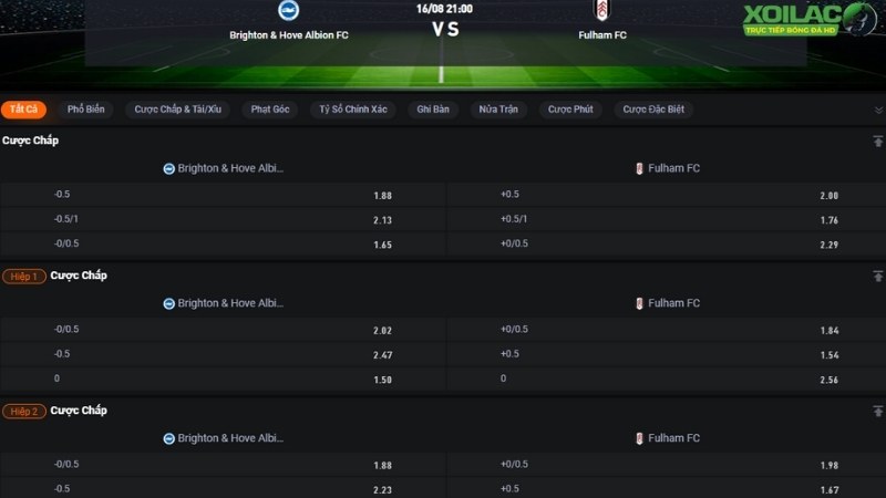 Brighton vs Fulham