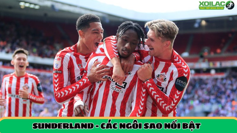 Cầu thủ nổi bật hiện tại Sunderland