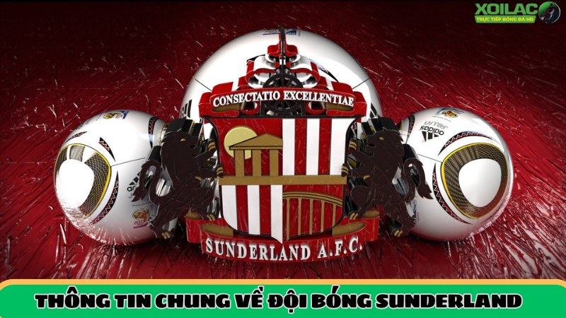 Thông tin tổng quan về Sunderland AFC