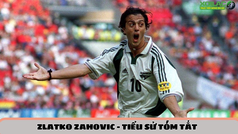 Tiểu sử tóm tắt Zahovic
