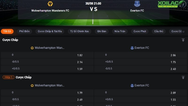 Wolves vs Everton