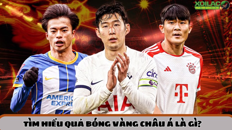 tim-hieu-qua-bong-vang-chau-a-la-gi