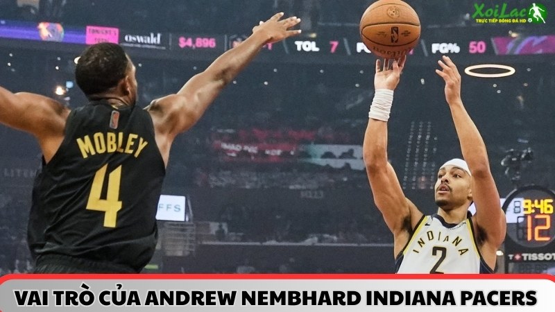 Vai trò của Andrew Nembhard